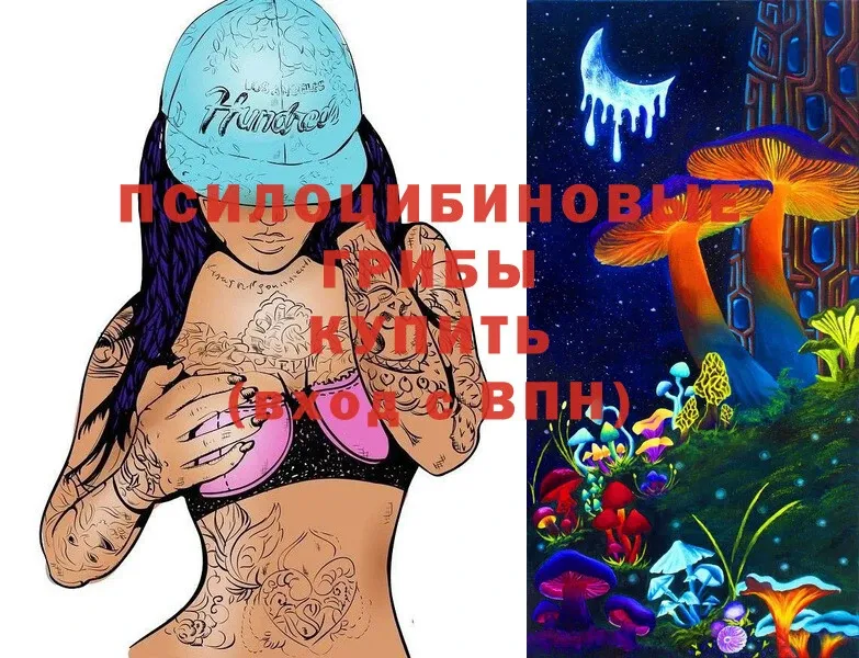 Псилоцибиновые грибы Magic Shrooms  Бородино 